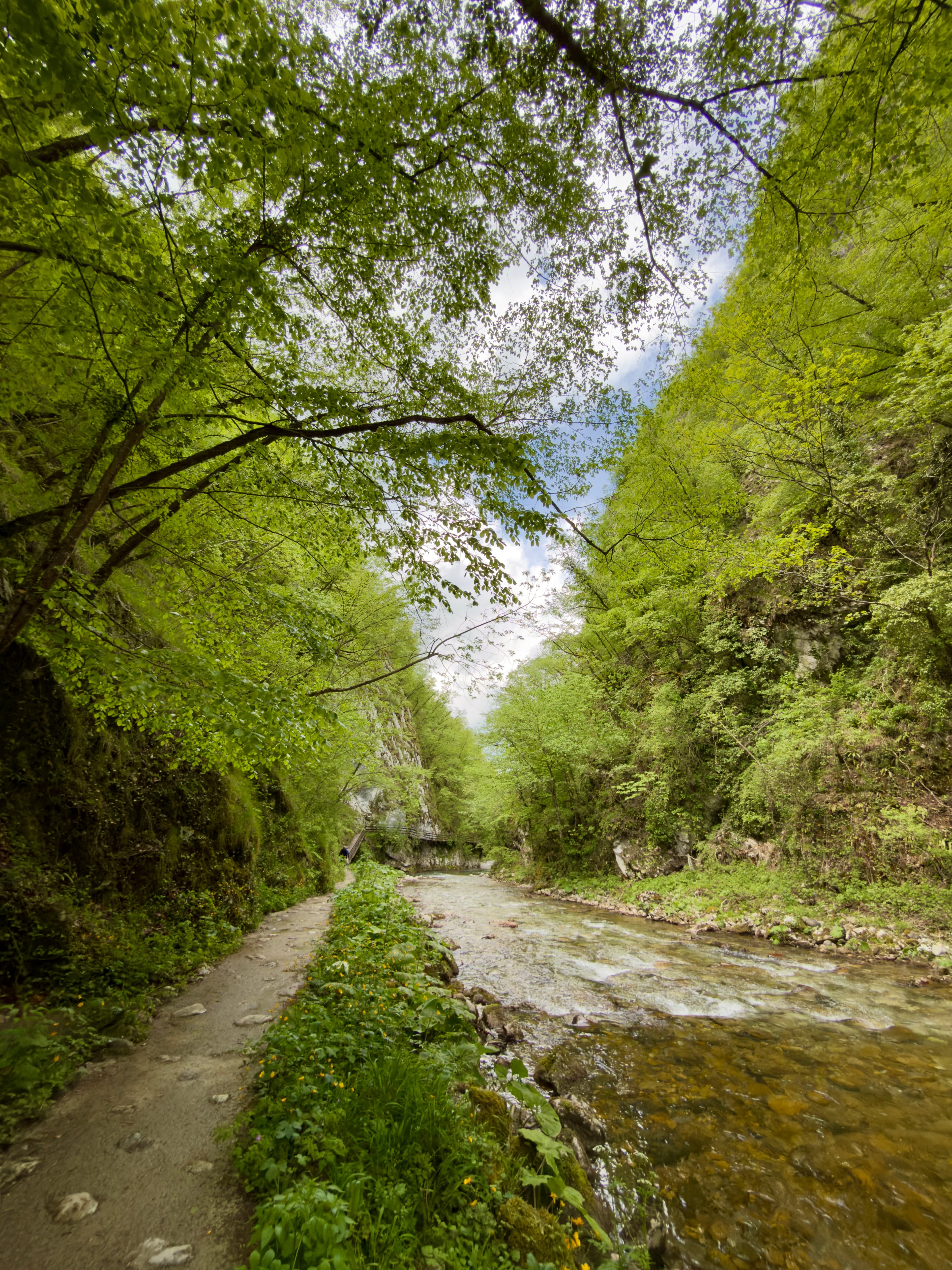 Visočka banja